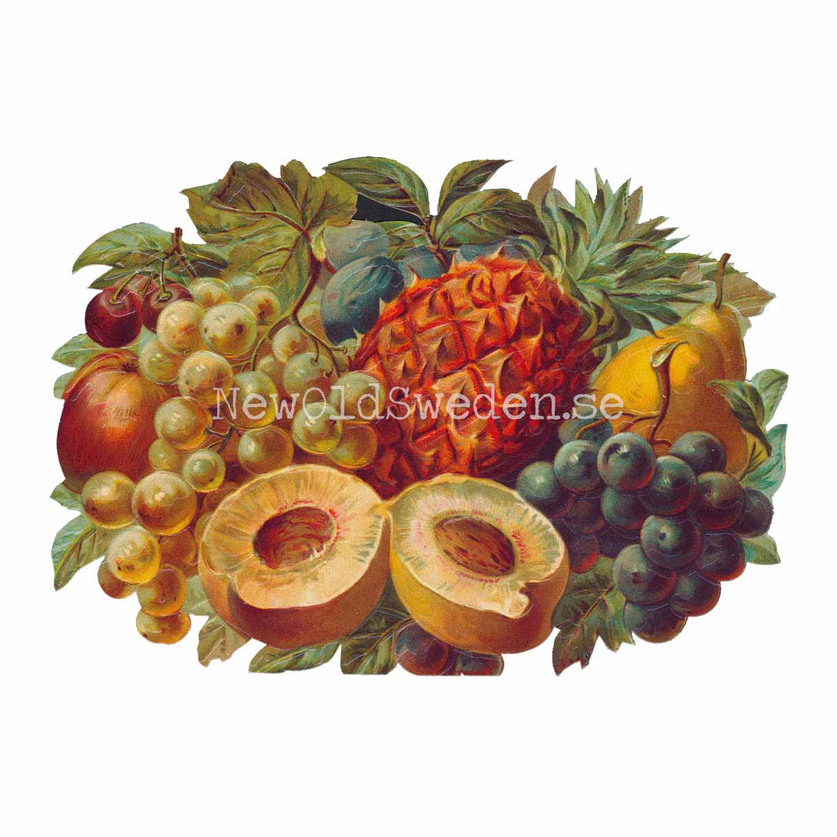 Basket with Fruit 16x11 cm - Bokmärke © Ernst Freihoff 5061 - 3