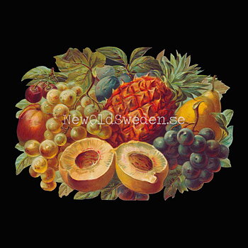 Basket with Fruit 16x11 cm - Bokmärke © Ernst Freihoff 5061