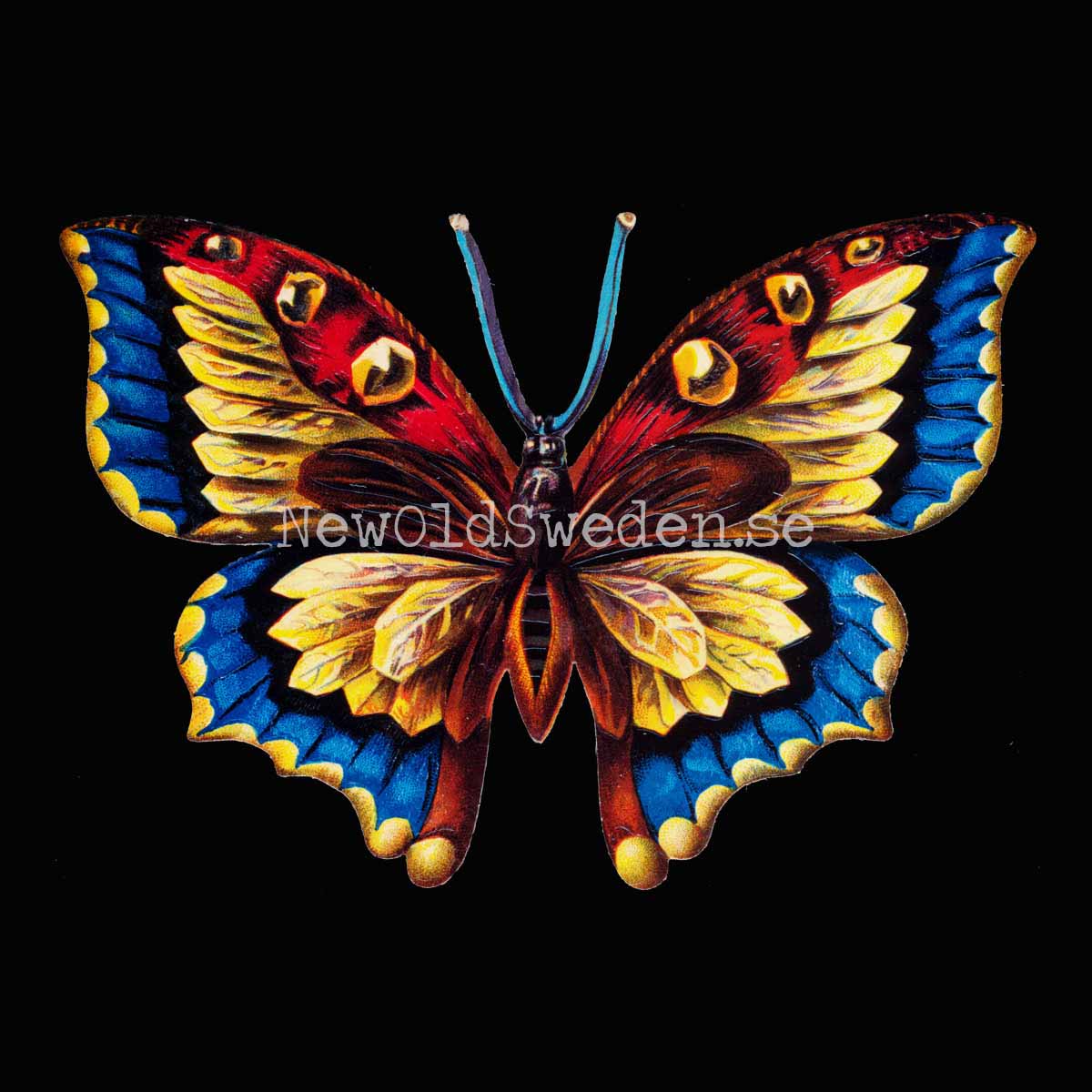 Blue Butterfly 16.5x11.5 cm - Bokmärke © Ernst Freihoff 5062