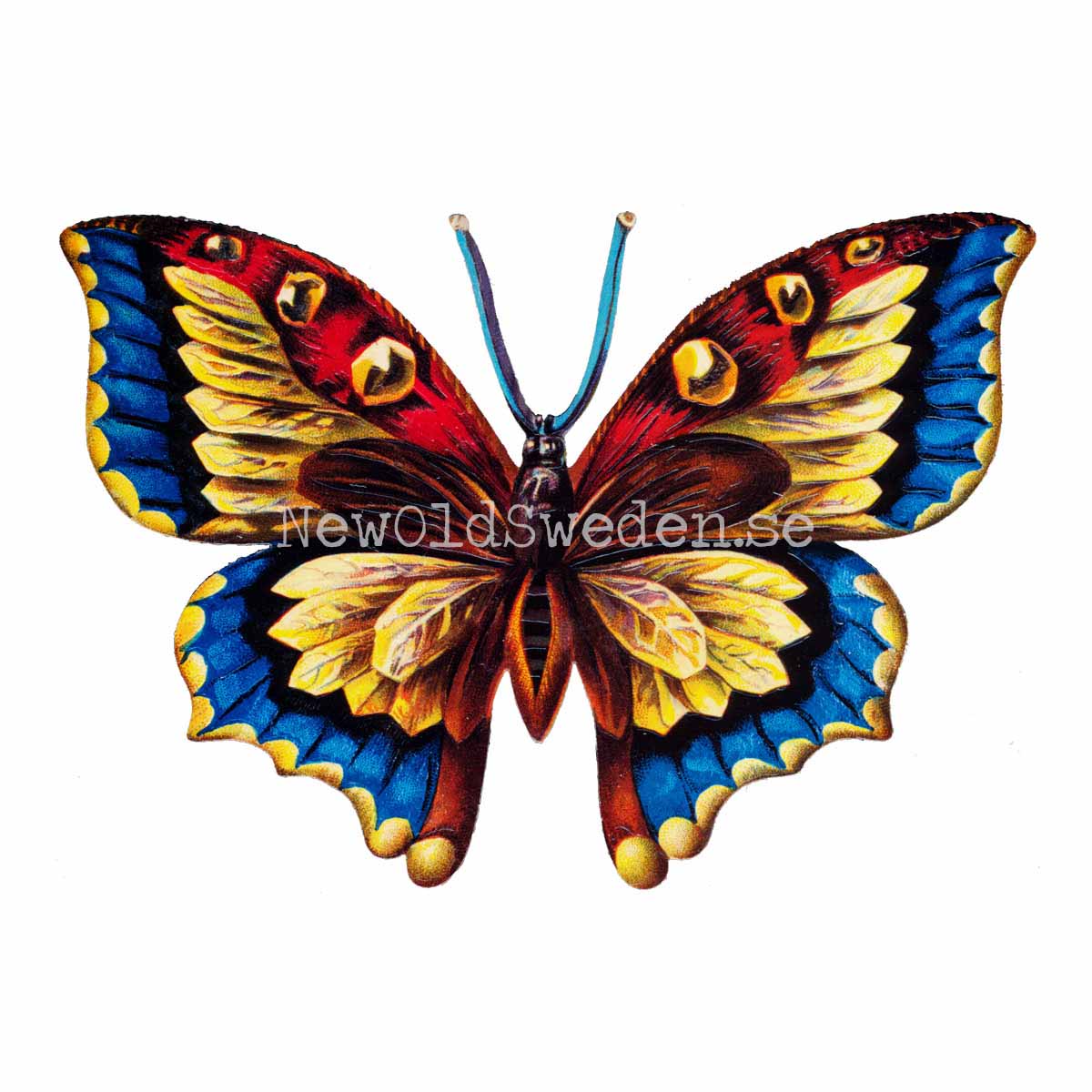 Blue Butterfly 16.5x11.5 cm - Bokmärke © Ernst Freihoff 5062 - 3