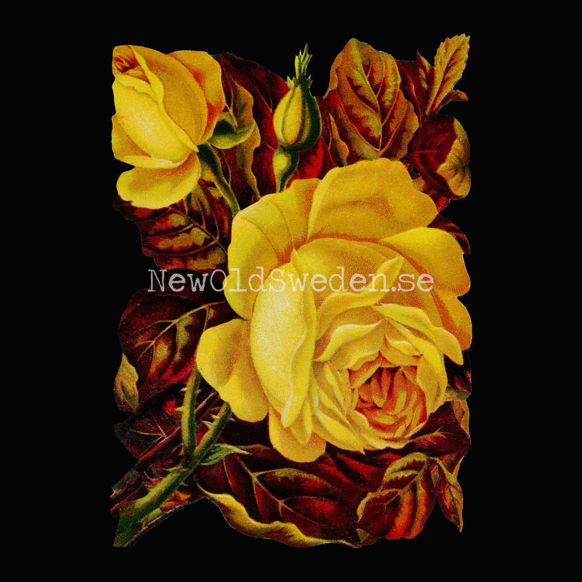 Yellow Roses 11.5x16 cm - Bokmärke © Ernst Freihoff 5072