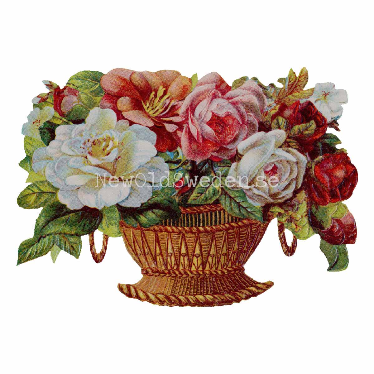 Basket with Dahlia 16x11.5 cm - Bokmärke © Ernst Freihoff 5077 - 3