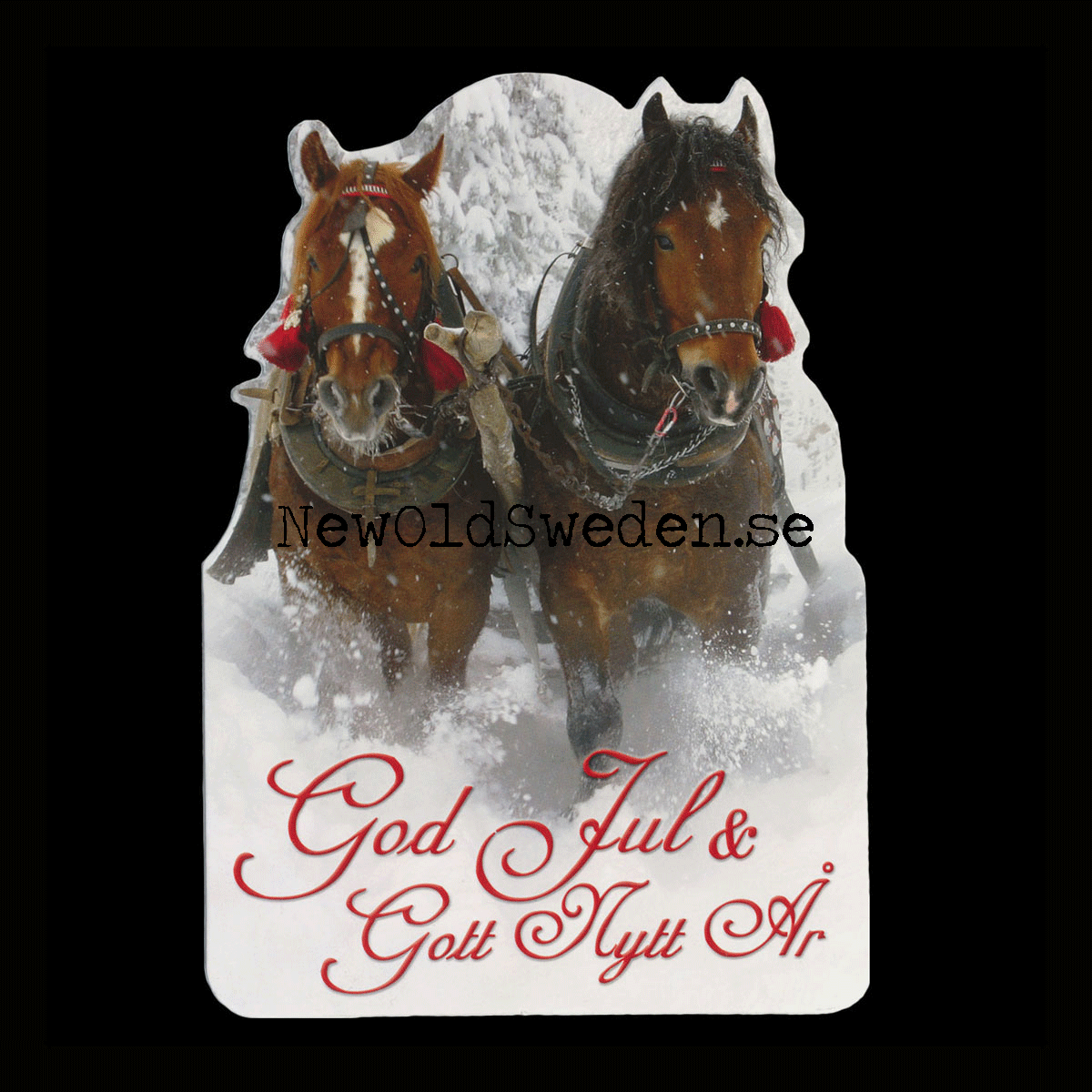 Julkort Polly & Blixten - God Jul & Gott Nytt År - 1000