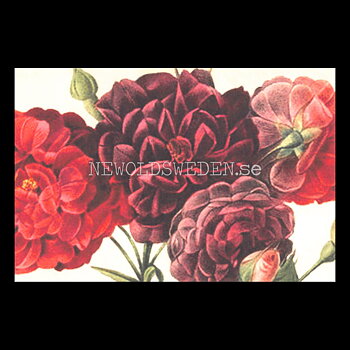 Blommor Vintage Vykort Nr: 277 - 10 x 15 cm -  432