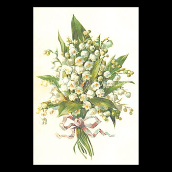 Blommor Vintage Vykort Nr: 295 - 10 x 15 cm - 434