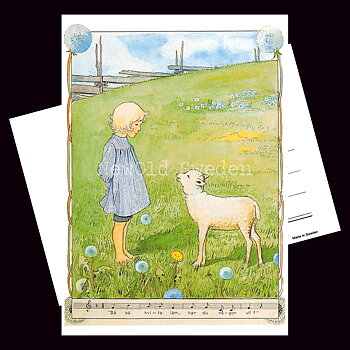 Bä bä vita lamm - Elsa Beskow - Vykort A6 - 620