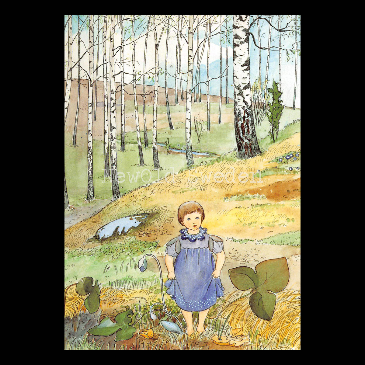 Blåsippan - Elsa Beskow - 700
