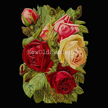 Bouquet of Roses 11x16 cm - Bokmärke © Ernst Freihoff 5163