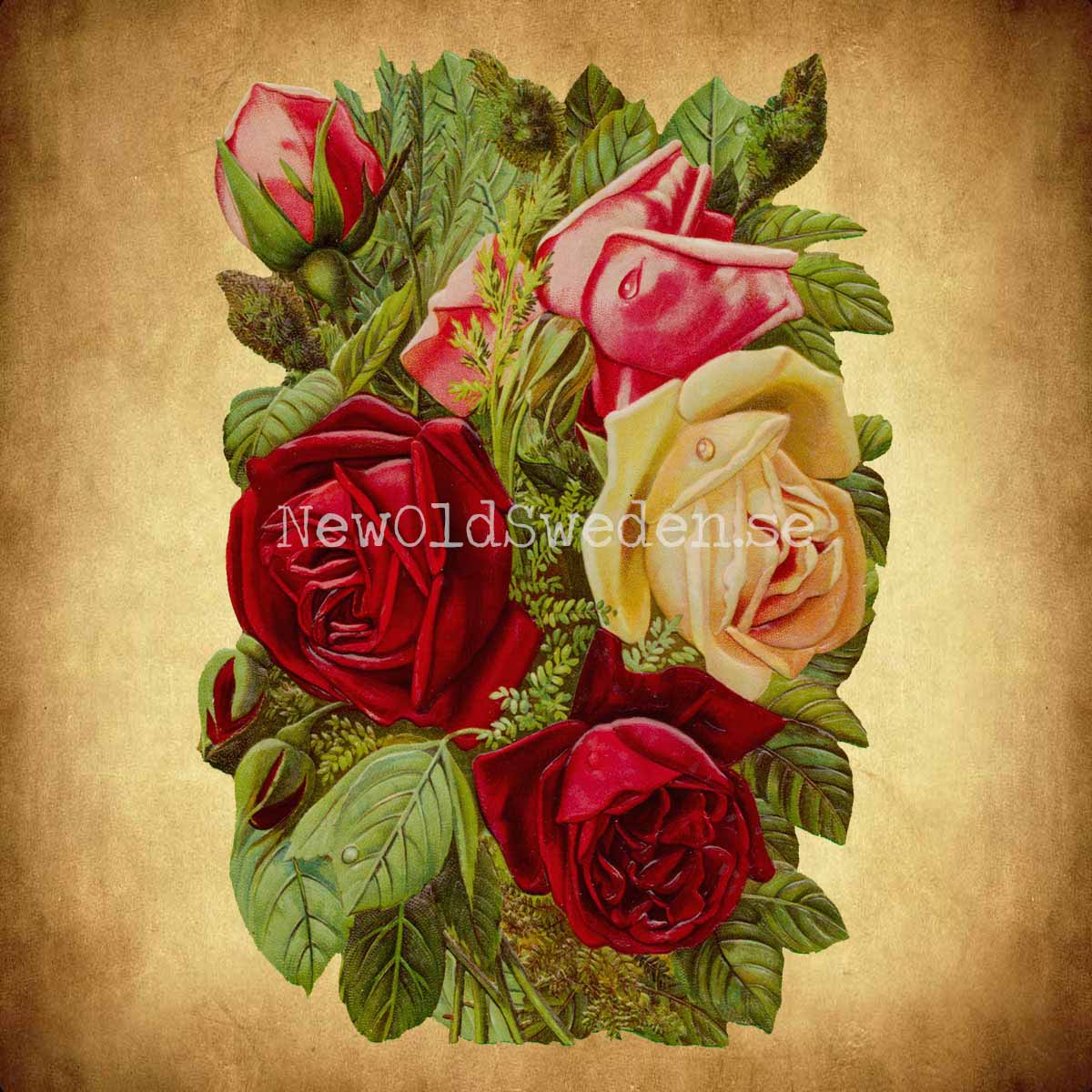 Bouquet of Roses 11x16 cm - Bokmärke © Ernst Freihoff 5163 - 2