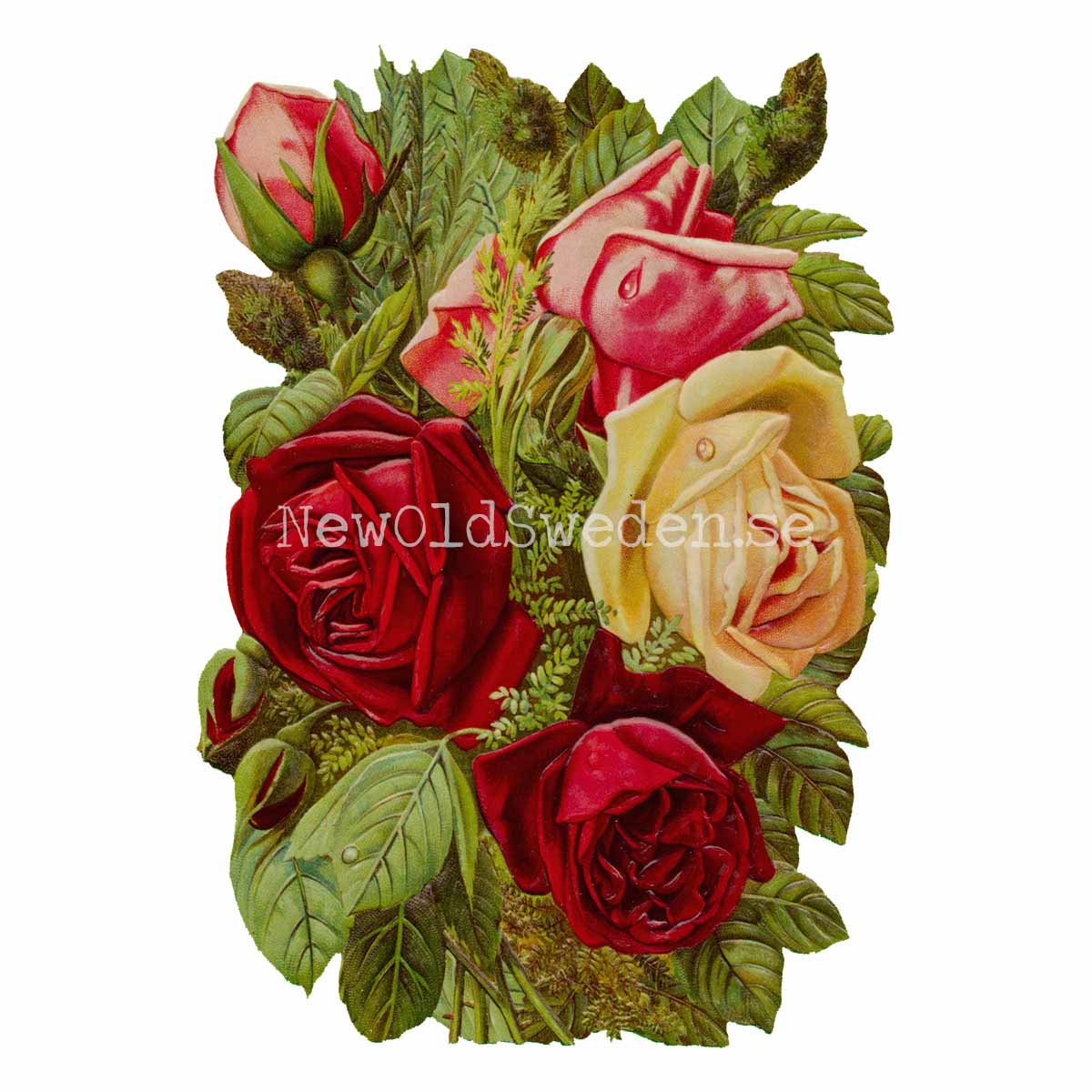 Bouquet of Roses 11x16 cm - Bokmärke © Ernst Freihoff 5163 - 3