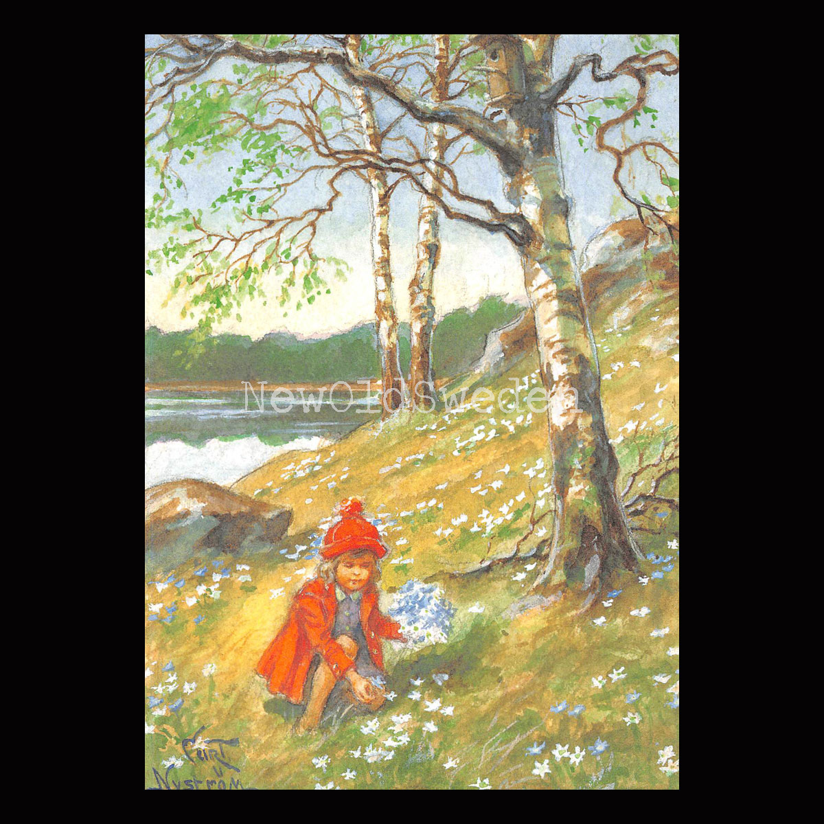 Vitsippebacken - Curt Nyström - 909