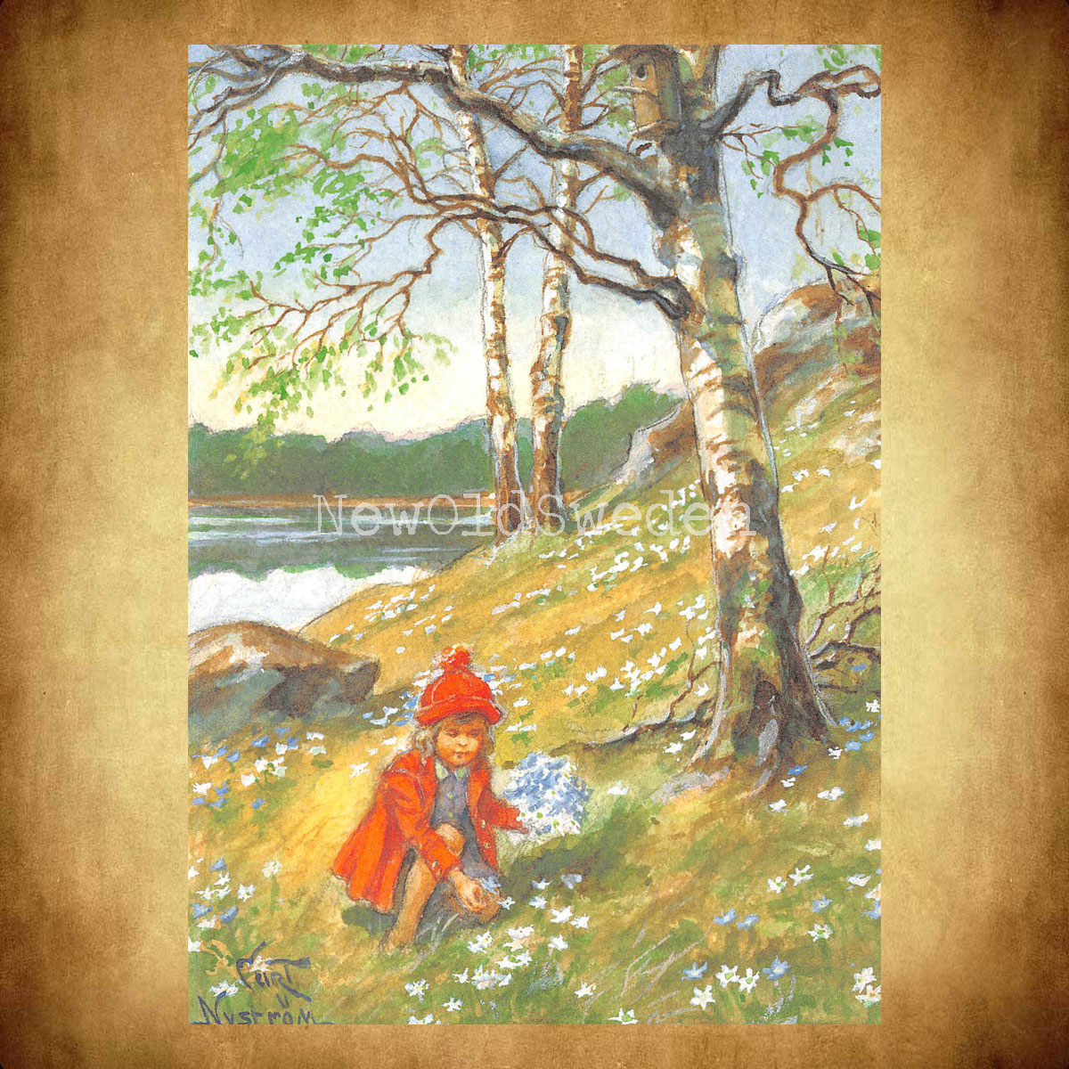Vitsippebacken - Curt Nyström - 909 - 2
