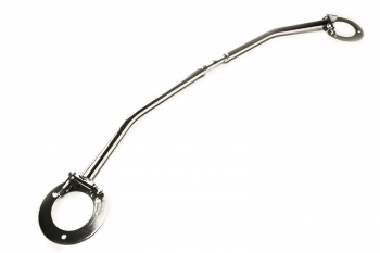 Fjäderbens stag -Fram