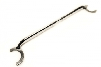 Fjäderbens stag -Fram