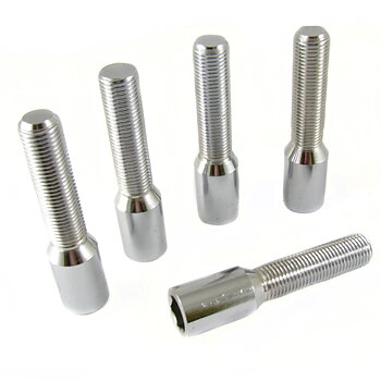 Torx / Torax / Star bolt Hjulbult / Hjulbultar 45mm Silver M14x1,25 - 10st