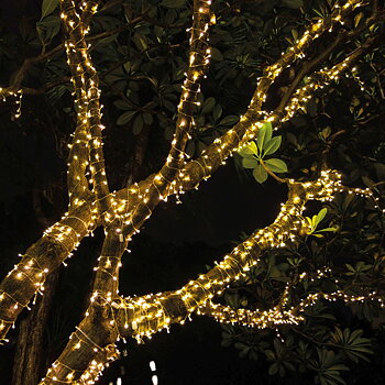 Indoor & Outdoor String lights