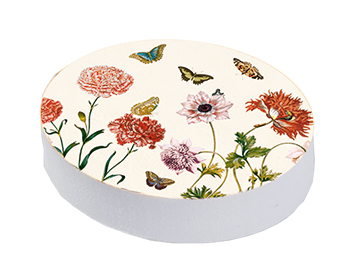 Suddgummin, Maria Sibylla Merian, Bordsdisplay med 60 st. - 2