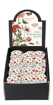 Suddgummin, Maria Sibylla Merian, Bordsdisplay med 60 st.