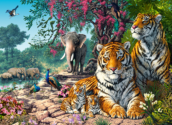 Tiger Sanctuary, puslespil med 300 brikker (B-030484)