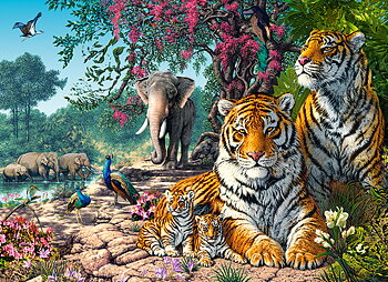 Tiger Sanctuary, puslespil med 300 brikker (B-030484)