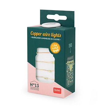  Copper wire lights