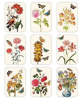 Klistermærker, Maria Sibylla Merian, pose med 5 ark