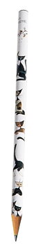 Blyanter, Rosina Wachtmeister, Cats Sepia, Borddisplay med 50 stk.