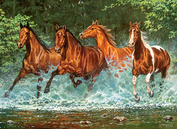 Cascade Run, 300-bitarspussel (B-030361)