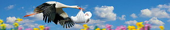 Bokmärken i papp, Stork med bebis (ANL003LS)