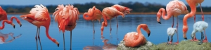Bokmärken i papp, Flamingos (TIE007LS)