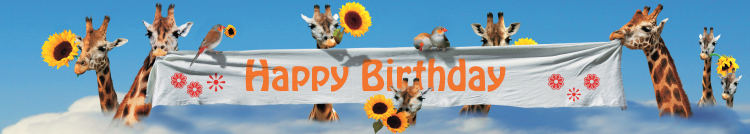 Panoramakort, Happy birthday-giraffer (ANL028/10301028)