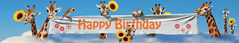 Panoramakort, Happy birthday-giraffer (ANL028/10301028)