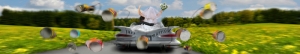 Panoramakort, Just Married (ANL024)