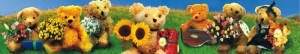 Panoramakort, Teddybjørne med blomster (ANL016)