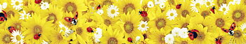 Panoramakort, Mariehøner på gule blomster (5-41004)