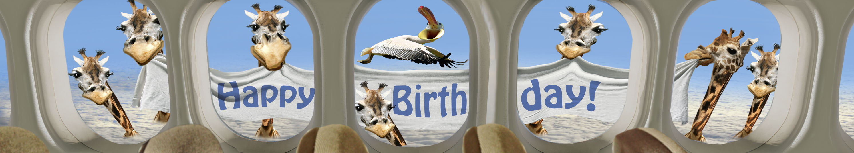 Panoramakort, Happy birthday-flygplansgiraffer (5-51007)