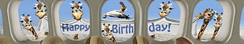 Panoramakort, Happy birthday-flygplansgiraffer (5-51007)