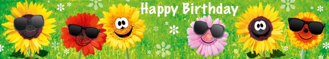 Panoramakort, Happy birthday-Glada Blommor (10301103)