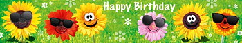 Panoramakort, Happy birthday-Glada Blommor (10301103)
