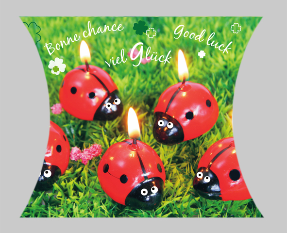 Gåvoask, Good luck, Bonne chance (S-KS030)