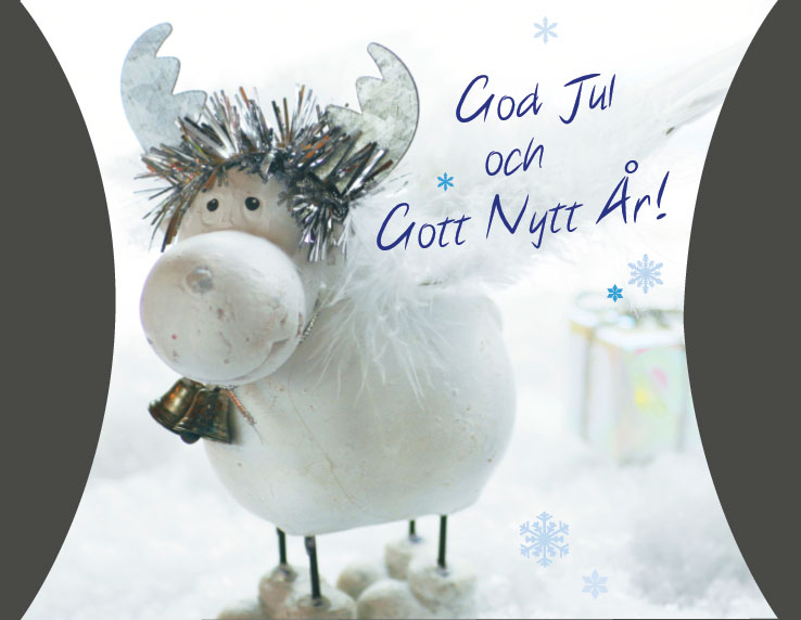 Gåvoask, God Jul och Gott Nytt År (Ren) (52082004)
