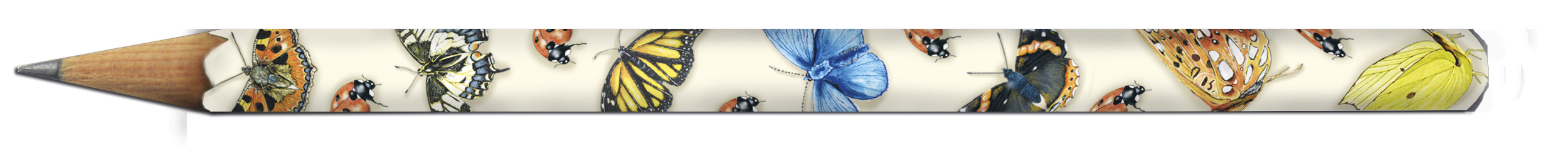 Blyertspennor, Nature Fun, Bordsdisplay med 50 st. - 2