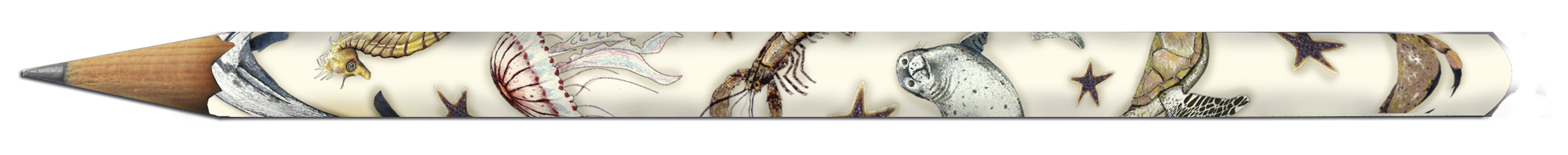 Blyanter, Sealife, Borddisplay med 50 stk. TEMA-produkt - 2