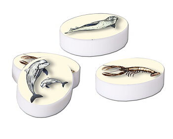 Suddgummin, Sealife, Bordsdisplay med 60 st., TEMA-produkt