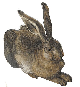 Magnet MDF, Dürer, Hare