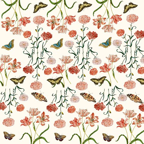 Art Origami, Maria Sibylla Merian, Fjärilar, Svårighetsgrad: Easy - 7
