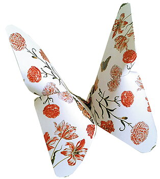 Art Origami, Maria Sibylla Merian, Fjärilar, Svårighetsgrad: Easy