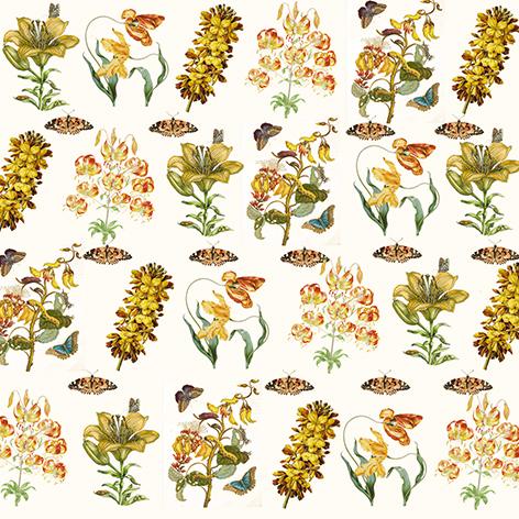 Art Origami, Maria Sibylla Merian, Fjärilar, Svårighetsgrad: Easy - 8