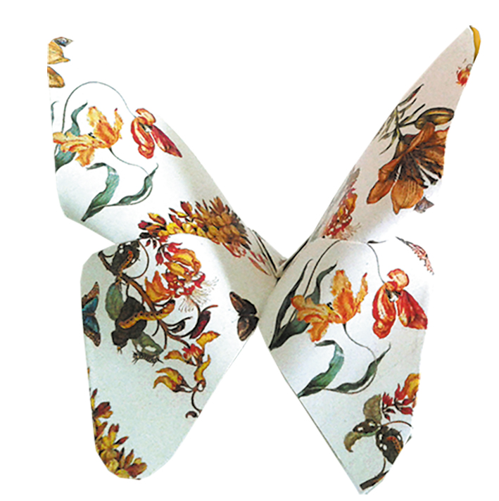 Art Origami, Maria Sibylla Merian, Fjärilar, Svårighetsgrad: Easy - 3