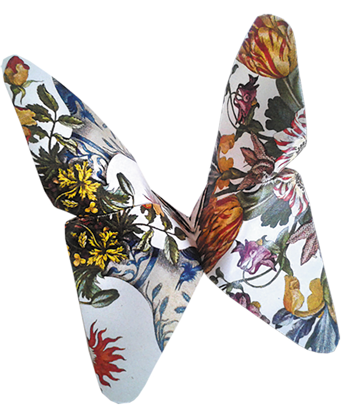 Art Origami, Maria Sibylla Merian, Fjärilar, Svårighetsgrad: Easy - 4